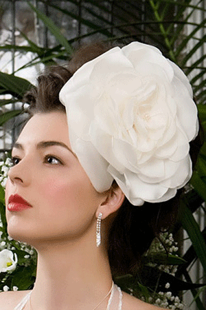 Accesorii pentru par disponibile in magazinele Calin Events.