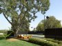 Casa Brentwood
