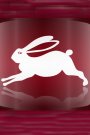 Horoscop chinezesc 2009 pentru zodia Iepure
Nativii zodiei Iepure
