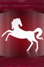 Horoscop chinezesc 2009 pentru zodia Cal
Nativii zodiei Cal sunt