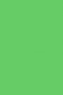Verde Vibrant
Revitalizanta si proaspata, aceasta nuanta reprezinta