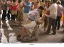 Cartea lui Sophie Kinsella, &ldquo;Confessions of a Shopaholic&rdquo;,