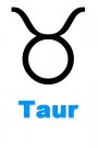 Horoscop masculin pentru zodia Taur
Este un lucru bine stiut de