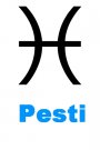 Horoscop masculin pentru zodia Pesti
Barbatii din zodia Pesti sunt
