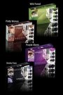KIT Get the Look de la BePrecious
Contine 6 produse: 3 pigmenti,