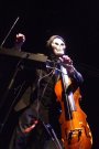 Theremin manauit de Adrian (1)