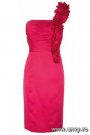 Rochie eleganta roz de la Debenhams
Pret: 975 lei