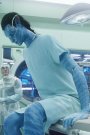 Daca intrebati animatorii de la Weta, vor spune ca avatarele si Na'vi