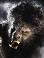 Cursa contra cronometru patronata de mai-marii studiourilor Universal