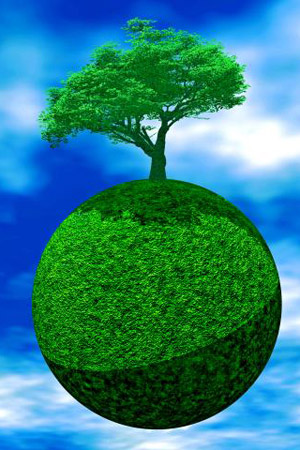 8.	Plantele medicinale
Plantele medicinale au reale efecte asupra