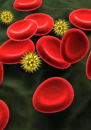 Grasimile si colesterolul din alimentatie
Medicii avertizeaza ca