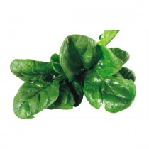 Spanacul: 12 Beneficii terapeutice cu planta lui Popeye