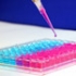 Un test genetic pentru o dieta super-personalizata