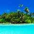 Paradisul pe pamant: Insulele Seychelles