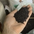 Orezul negru, alimentul minune al nemuritorilor moderni