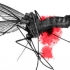 Alerta in Romania: Doua persoane ucise de virusul West Nile