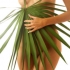 Tratamente naturiste care intensifica sexualitatea