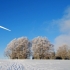 Petrece vacanta de iarna in Austria