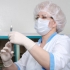 Vesti bune: A fost descoperit vaccinul universal contra gripei