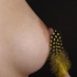 Top 5 Lucruri pe care nu le stiai despre sani