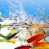Te invitam la workshopul Kudika Go Summer!