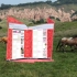 B'ESTFEST Summer Camp: arta contemporana, expozitii si fotografie