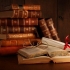 Biblioteca noptii