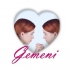 Horoscop Gemeni 2012