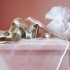 38 Accesorii si pantofi pentru mirese in 2012