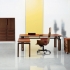 15 piese de mobilier pentru biroul de acasa