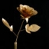 Florin Piersic