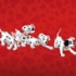 101 dalmatieni pe DVD 