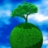 9 idei eco si naturale