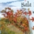 Targ pentru O Viata Sanatoasa