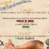 Produse lucrate manual la Targul ILoveHandmade