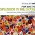 Pink Martini din nou in Romania