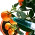 Alimentele care contin vaccinuri