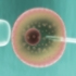 Preventia si diagnosticul precoce inving cancerul de col