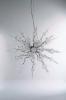 Ice Crystal