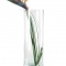 Vaza Cylinder 