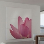 Wall Decor System