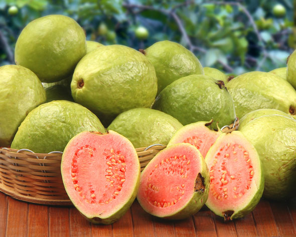 Sirop de guava pentru tuse - Legume