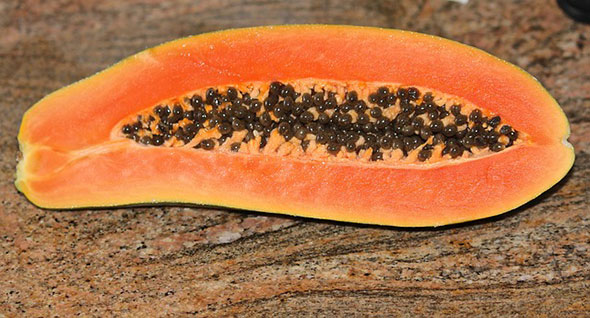beneficii seminte de papaya