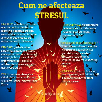 efectele stresului